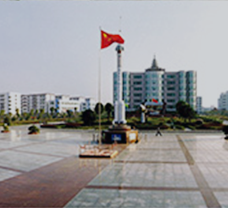 about-pic4